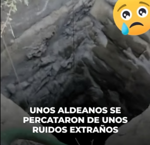 R2004010 Fashion changes. The gratitude in a rescued dog’s eyes never does (Part 2)