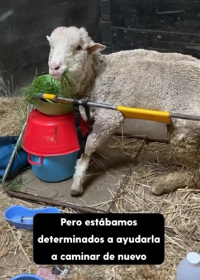 R2004002 Being cool is temporary. Being a hero is eternal (Part 2)