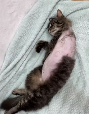 R2004001 We spend to impress strangers. Why not spend to save a life (Part 2)