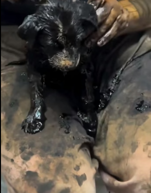 Stop scrolling for status. Start watching for spirit (Part 2)