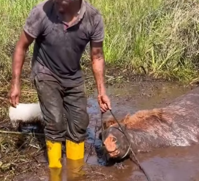 R2004007 Collecting things vs. Collecting second chances (Part 2)