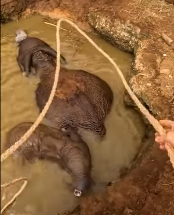 I2004010 The best things in life aren’t things. They are heartbeats (Part 2)