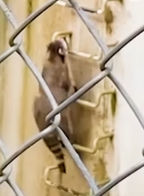 I2004007 We spend to impress strangers. Why not spend to save a life (Part 2)