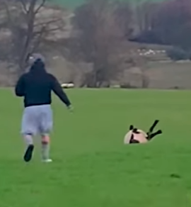 I2004009 A fancy hotel stays for a night. A rescue story stays in the soul. (Part 2)