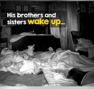 I2004006 What defines you the car you drive or the life you pulled out of the mud (Part 2)