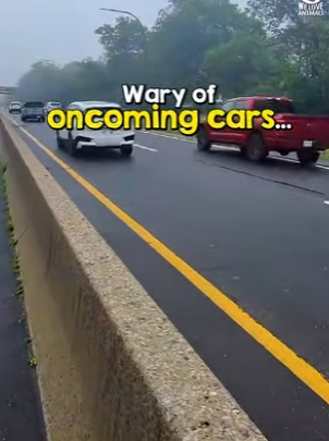 I2004008 Your legacy isn’t your bank balance; it’s the lives you touched (Part 2)