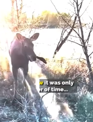 I2004005 One night at the club or one month of medicine for a survivor (Part 2)