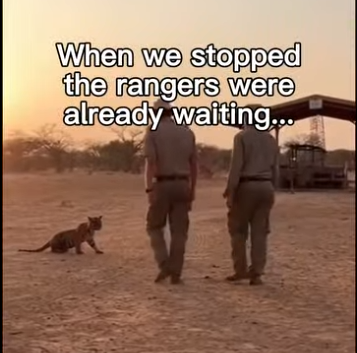 P0304001 Even The Rock would need a tissue after the first 5 seconds. (Part 2)