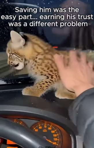 V2004011 Designer perfumes fade in hours. The scent of a fresh start lasts forever (Part 2)