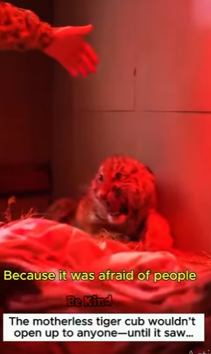 V2004010 Your bank balance shows your success. Your mercy shows your significance (Part 2)