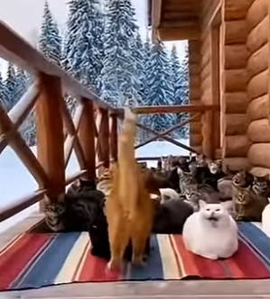 P0304009 MrBeast just found a challenge that money can’t solve (Part 2)