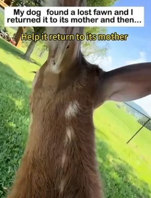 V2004005 We spend to be noticed. We should spend to be a hero (Part 2)