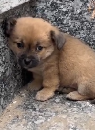 M2004002 A high-res camera captures the pain. A helping hand erases it (Part 2)