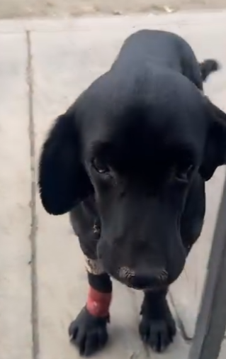 M2004006 One click to Order Now. One click to Share for Life. Which one are you (Part 2)