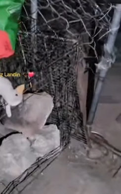 M2004005 Things can be replaced. A heartbeat cannot. What are you protecting (Part 2)