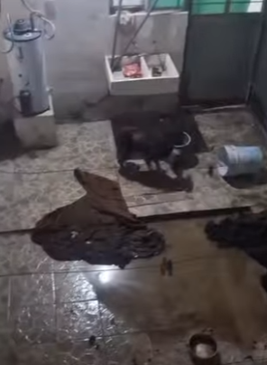 M2004008 Don’t just decorate your life with things. Decorate it with kindness. (Part 2)