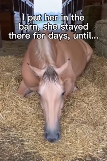 P0304002 Joe Biden would call this the most important rescue of the year (Part 2)