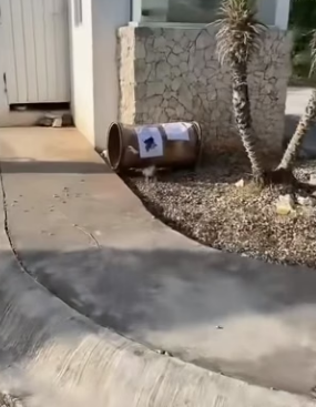 M2004004 One pair of high-end heels or 100 meals for the hungry Choose your path (Part 2)