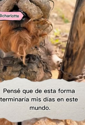 M2004010 Happiness from a box is temporary. Happiness from a crate opening is eternal (Part 2)