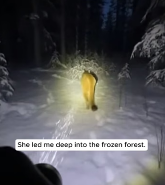 H0904010 Olivia Rodrigo would write her next #1 hit about this recovery (Part 2)