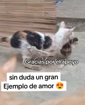 R2204002 A luxury spa day relaxes you. Saving a life fulfills you (Part 2)