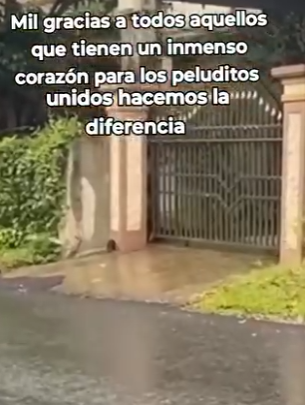 R2204011 A $1,500 suit covers the body. A rescue covers the soul (Part 2)