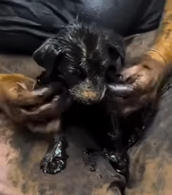 R2204001 We spend to feel important. We should give to be essential (Part 2)