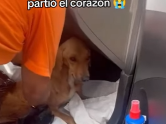 R2204009 comparto este video, porque es necesario que se haga viral quizás a… (Part 2)