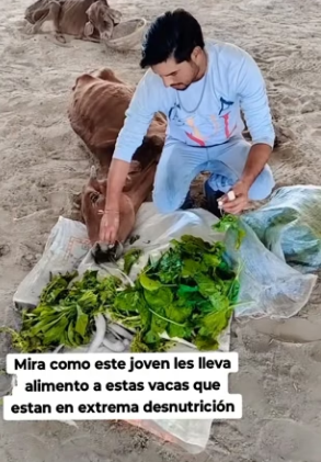 R2204005 Designer sunglasses hide the world. A rescue helps you see the world’s heart (Part 2)