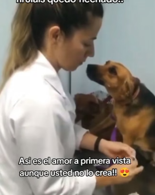 R2204012 Your stock portfolio shows your wealth. This rescue shows your worth (Part 2)