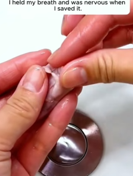 F2204006 Happiness from a shopping spree ends at the door. Rescue joy never ends (Part 2)