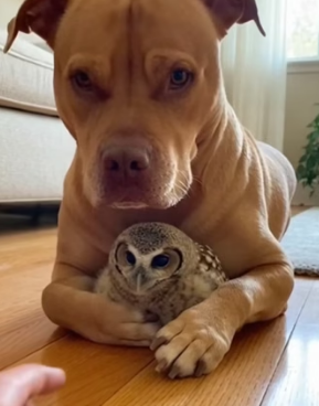 F2204002 We are obsessed with new trends while they are desperate for new lives (Part 2)