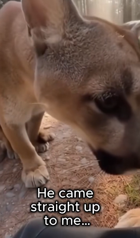 F2204001 Luxury is a privilege. Kindness is a superpower (Part 2)