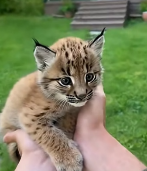 F2204012 A mansion is made of stone. A home is made of heartbeat (Part 2)