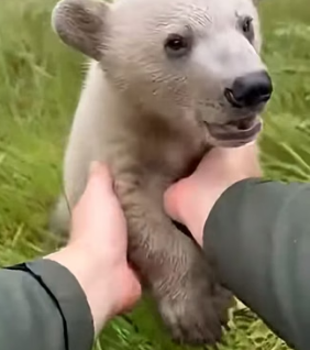 F2204009 A limited-edition watch counts minutes. A survivor counts miracles (Part 2)