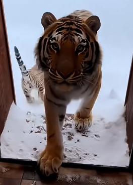 F2204010 A pro camera captures the image. A kind hand captures the spirit (Part 2)