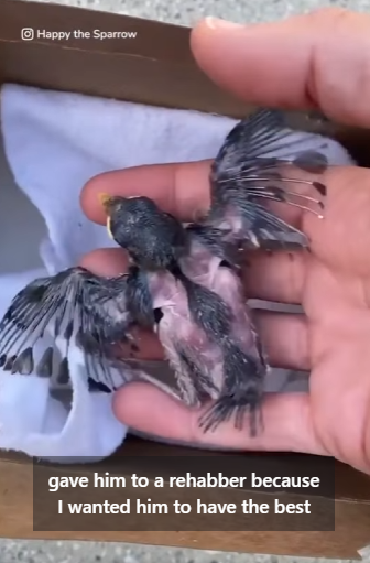 I2204003 Why follow a lifestyle when you can lead a movement (Part 2)