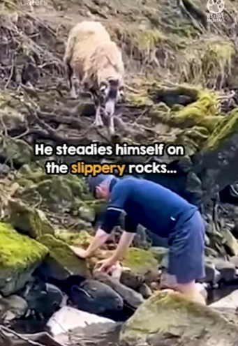 I2204007 Wealth is a number. Compassion is a legacy. (Part 2)