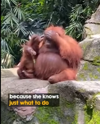 I2204011 Luxury is for the few. Mercy is for the brave (Part 2)