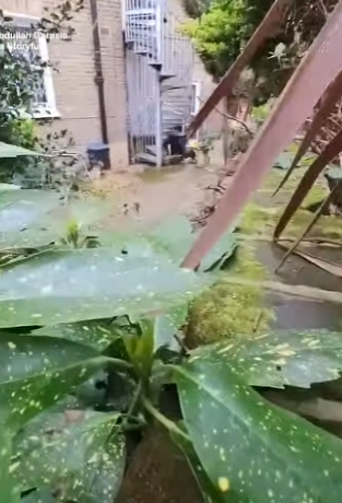 I2204002 We pay for the label. We should act for the voiceless. (Part 2)