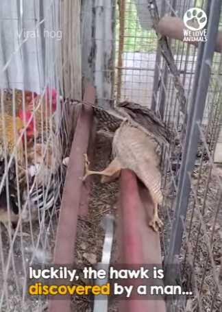 I2204008 You can’t take your collections to the grave, but you can leave a miracle behind. (Part 2)