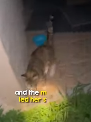 I2204004 Your legacy isn’t your house. It’s the lives you pulled from the dark (Part 2)