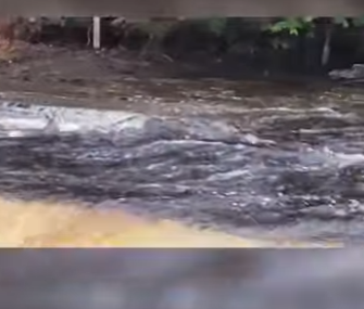 I2204006 A life of comfort is easy. A life of rescue is meaningful. (Part 2)