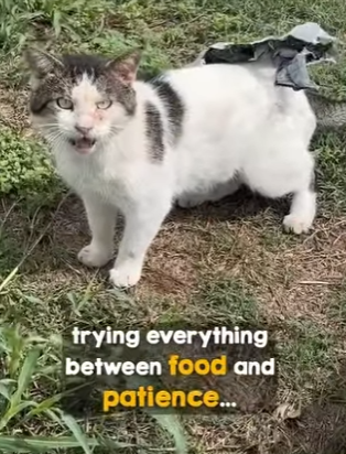 I2204012 One click to Checkout. One click to Rescue. Choose your impact (Part 2)