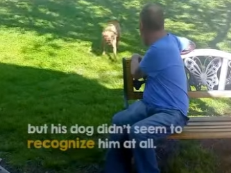 I2204009 Watch Dog Light Up When Recognizing Its Owner (Part 2)