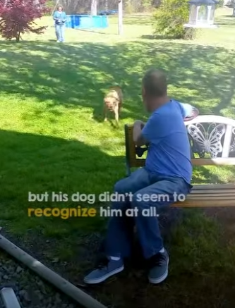 I2204009 Watch Dog Light Up When Recognizing Its Owner (Part 2)