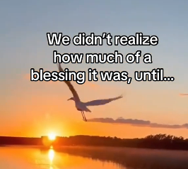 P0304006 Even Elon Musk couldn’t invent a heart this brave (Part 2)