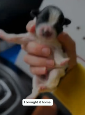 A2104010 Money can build a palace. Kindness can build a future (Part 2)