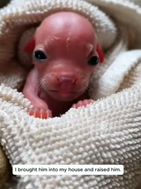 A2104008 We buy things to be someone. We should save things to help someone (Part 2)