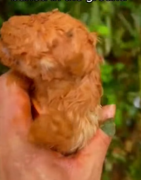 A2104012 Rich in things. Poor in spirit. Don’t be that person (Part 2)